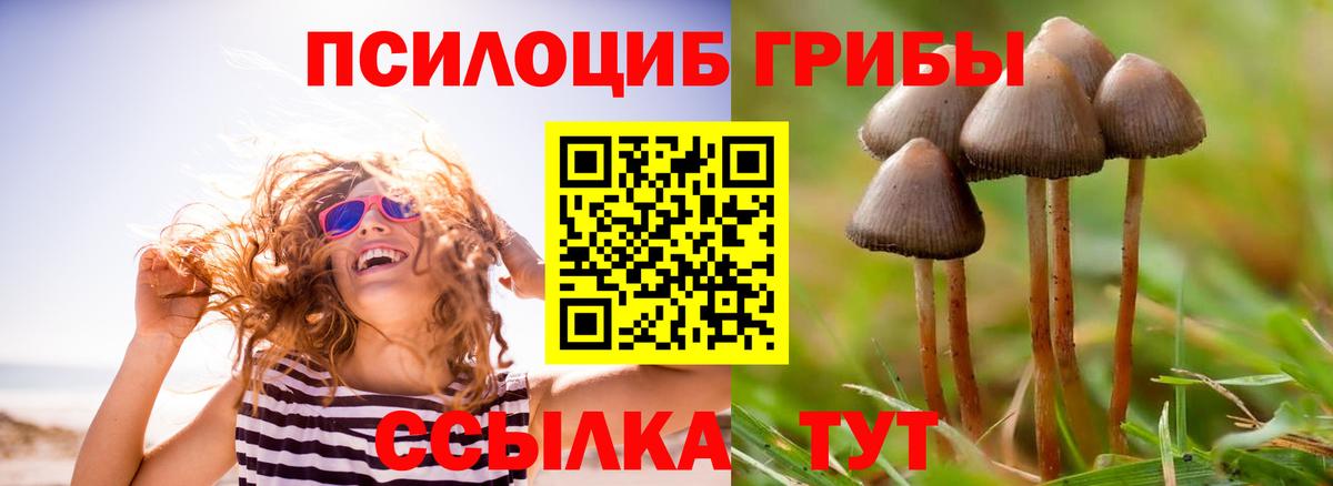 Псилоцибиновые грибы ЛСД  Вход с VPN  Туймазы 